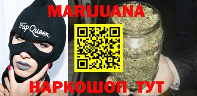 тгк Новодвинск
