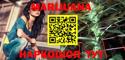 тгк Новодвинск