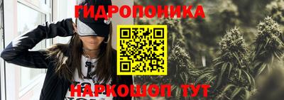 тгк Новодвинск