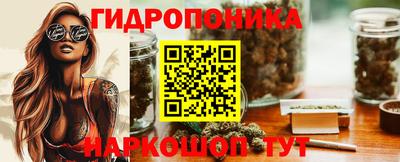 тгк Новодвинск