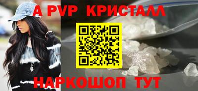 тгк Новодвинск