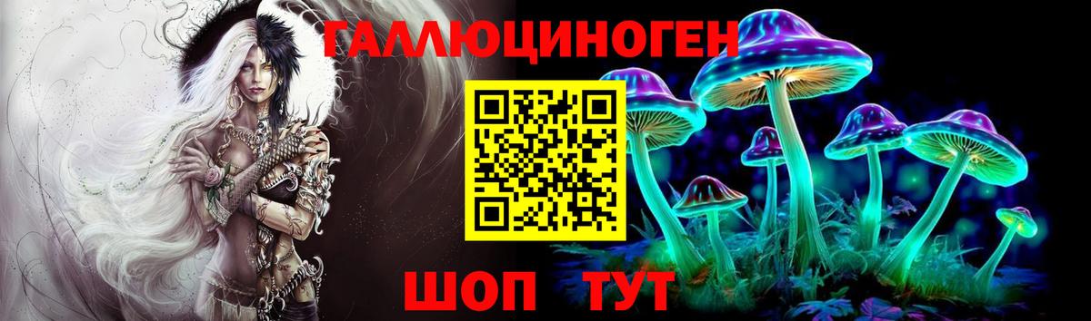 Галлюциногенные грибы MAGIC MUSHROOMS  цены наркотик  Вход с VPN  Тверь  Галлюциногенные грибы GOLDEN TEACHER 
